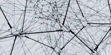 viele schwarze Linien und Verzweigungen auf weißem Hintergrund