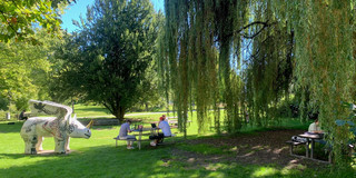 Wiese im Sommer vor der EF 50