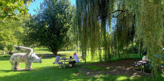 Wiese im Sommer vor der EF 50