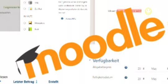 Schriftzug von Moodle in orange